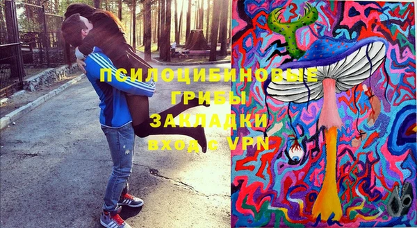 spice Алексеевка