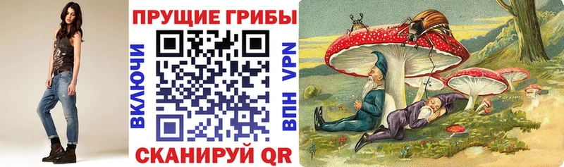 где продают наркотики  Петровск-Забайкальский  Псилоцибиновые грибы мухоморы 